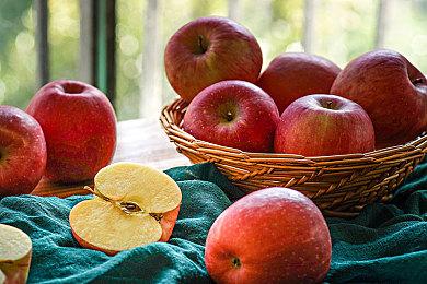 叙事模拟管理类游戏《债务人俱乐部》已正式发售并获得好评